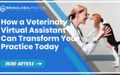 How a Veterinary Virtual Assistant Can Transform Your Practice Today