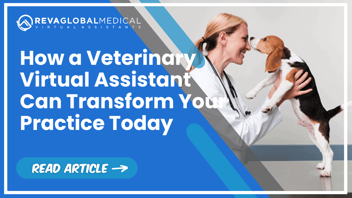 How a Veterinary Virtual Assistant Can Transform Your Practice Today How a Veterinary Virtual Assistant Can Transform Your Practice Today